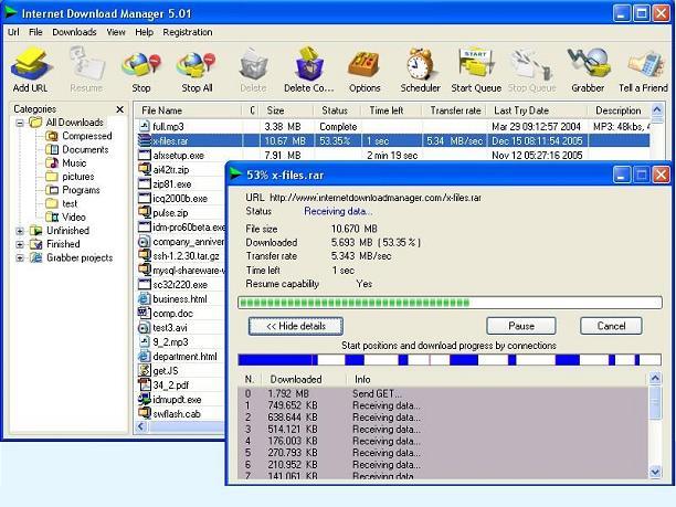 Internet Download Manager